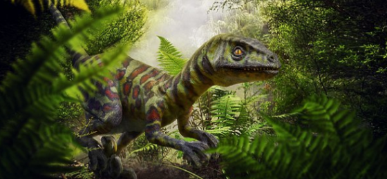Raptor type of dinosaur in a green setting