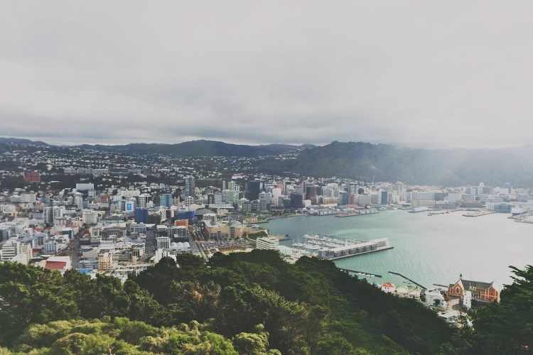 Wellington panoramic view
