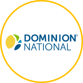 Dominion National Logo