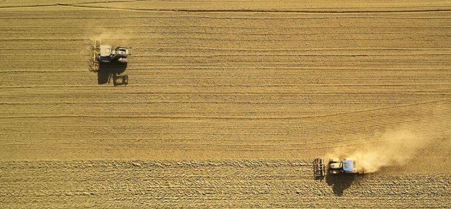 Two tractors on a field