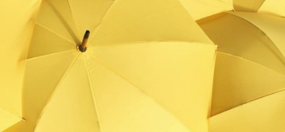 Yellow umbrella