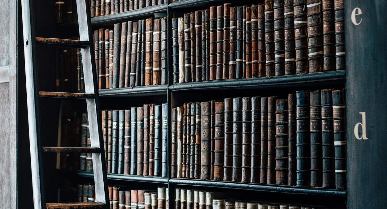 Dark and fancy-looking bookshelf with a ladder