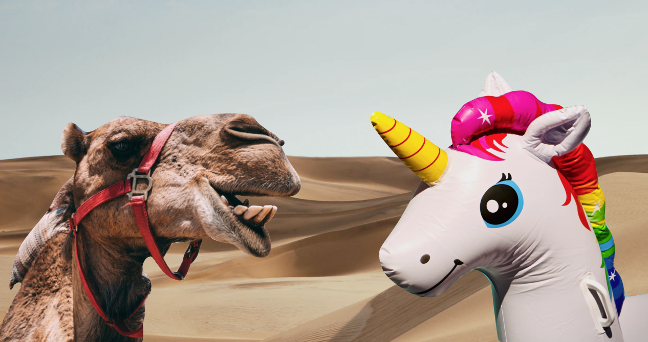 Happy camel looking at an inflatable unicorn, with the desert in the background.