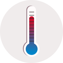 Thermometer Icon