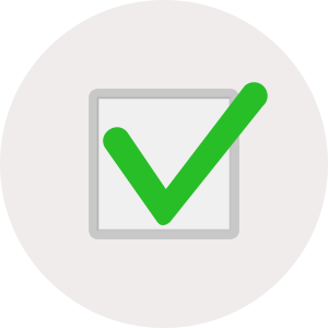 Ticked Checkbox Icon