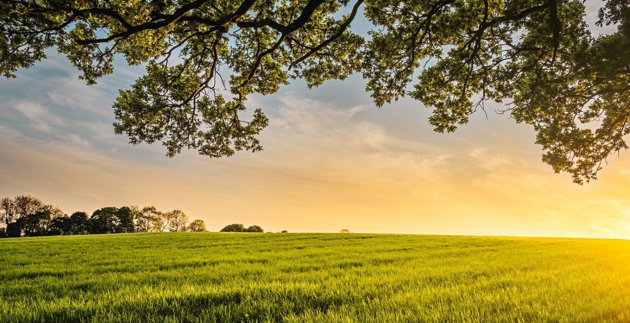 Farm at sunset