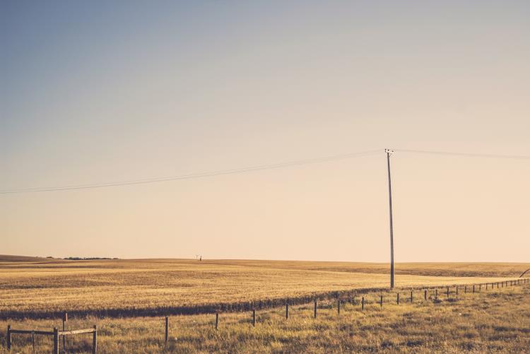 Powerlines in a field