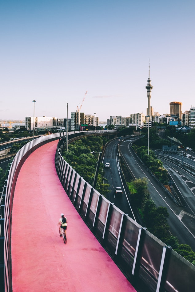 Auckland cityscape with pink bike path