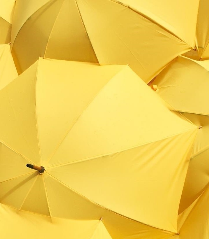 Yellow umbrellas